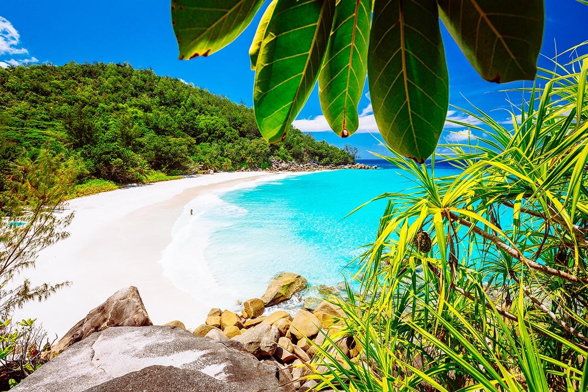 The Seychelles Wedding Seychelles Torsten Dickmann