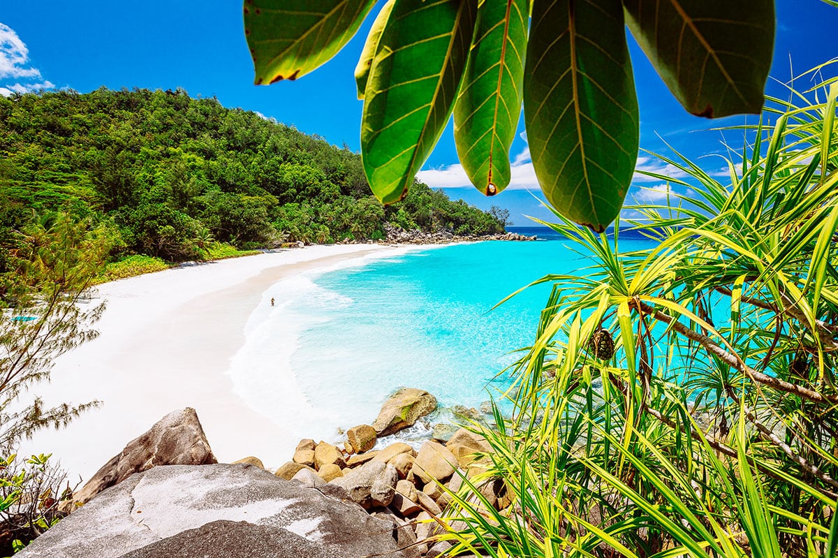 hochzeit seychellen inseln 12