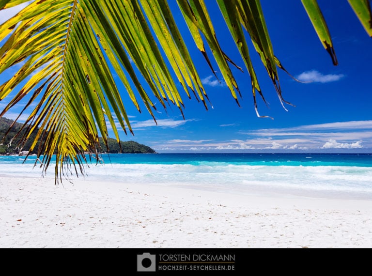 hochzeit seychellen jahresrueckblick 2015 4