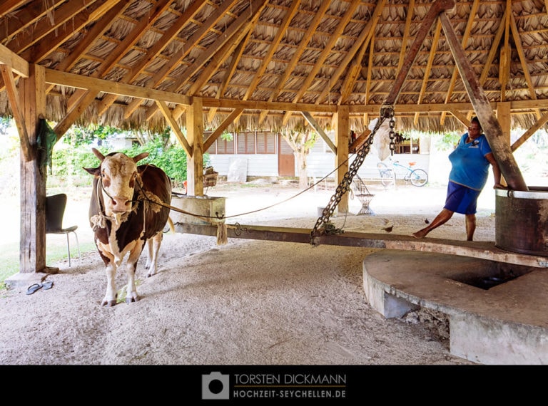 hochzeit seychellen jahresrueckblick 2015 47