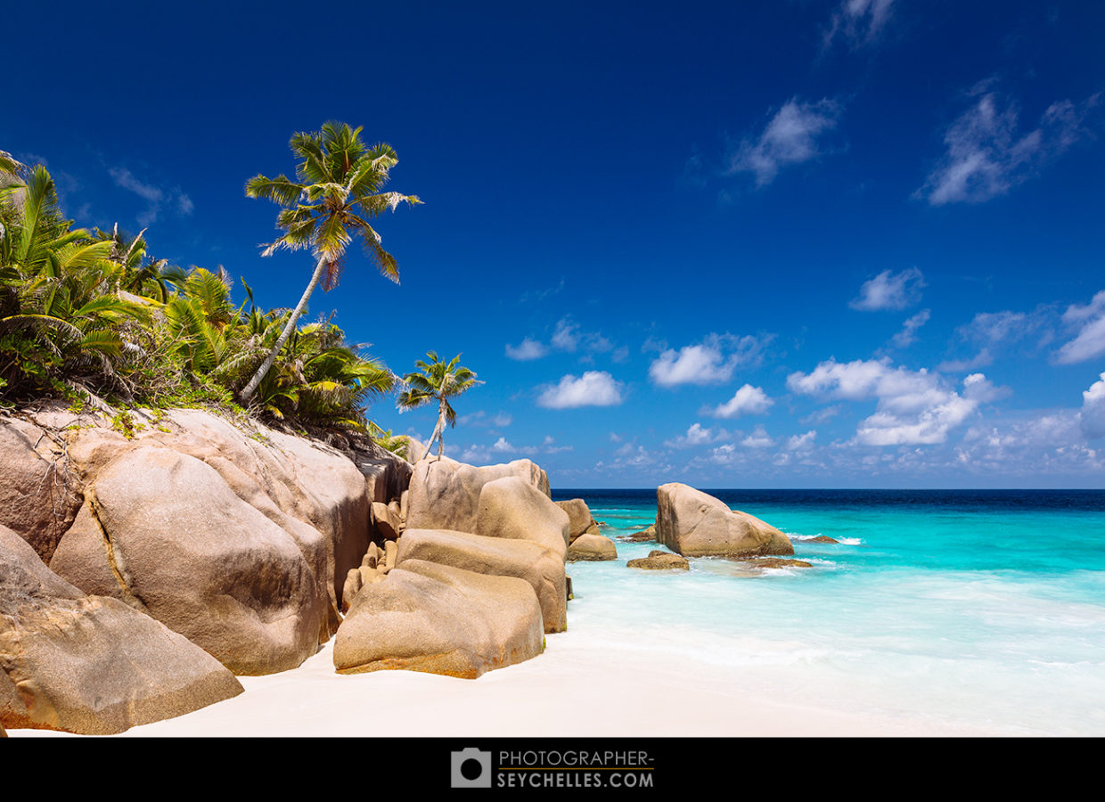 wedding seychelles review of the year 2015 5