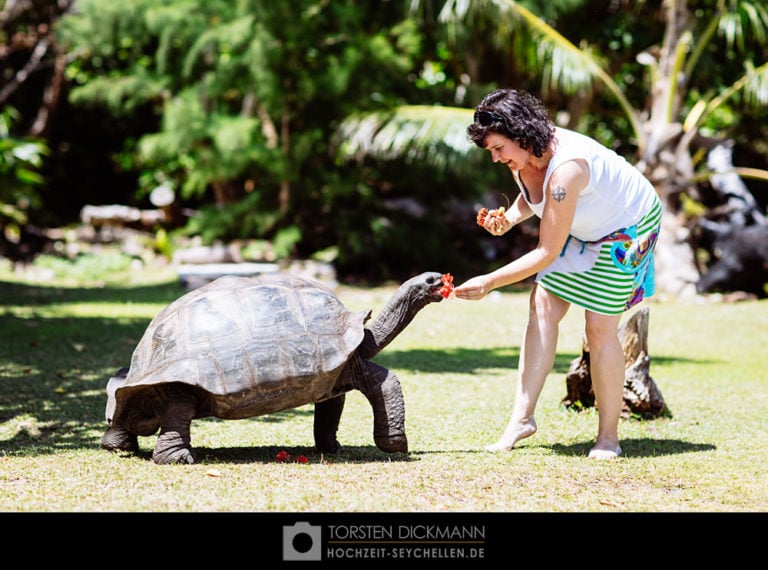 hochzeit seychellen jahresrueckblick 2015 9