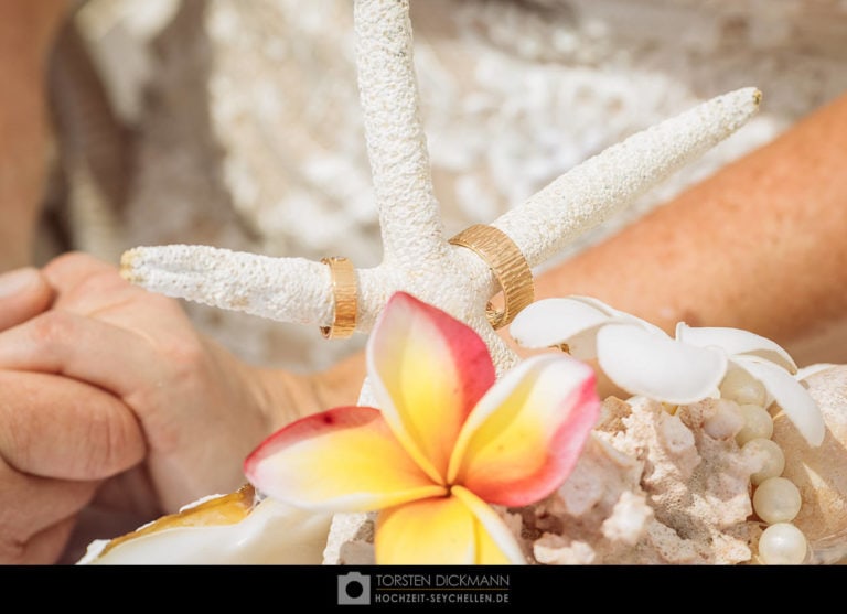 hochzeit seychellen jahresrueckblick 2017 42