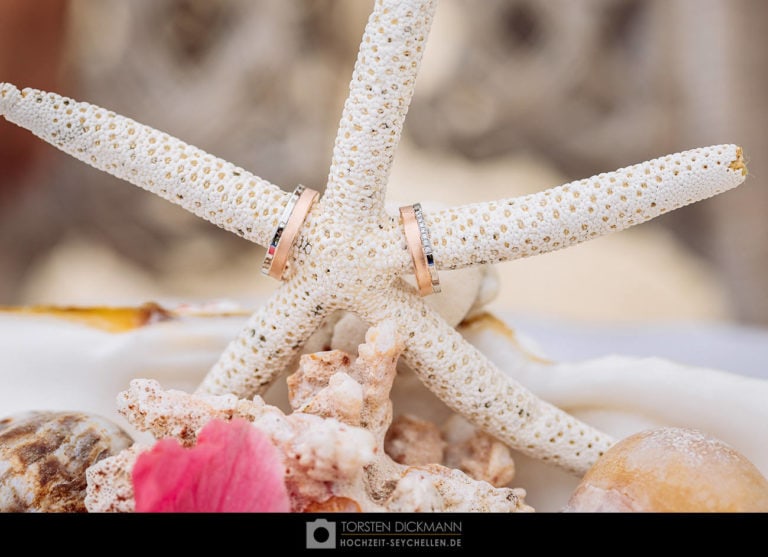 hochzeit seychellen jahresrueckblick 2017 89