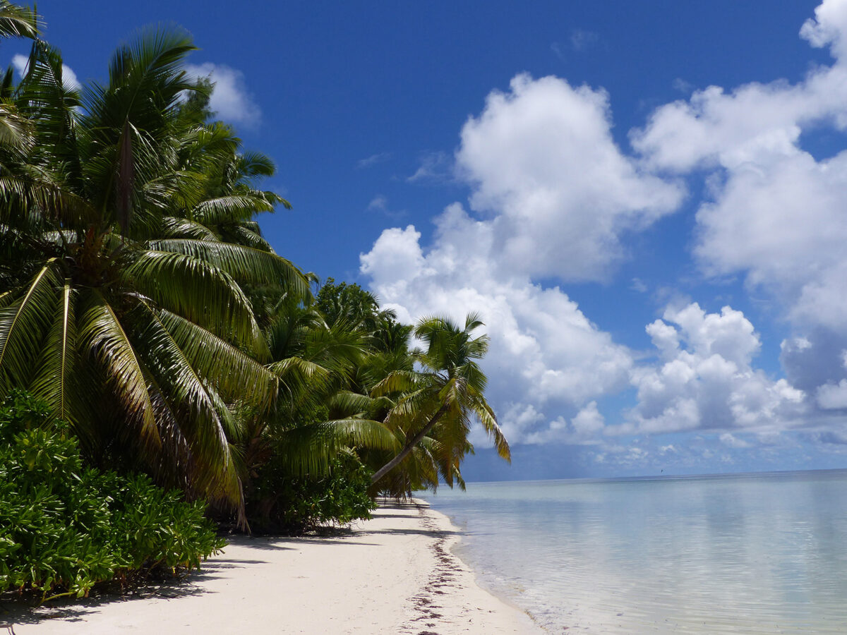 hochzeit seychellen waldorf astoria platte island 11